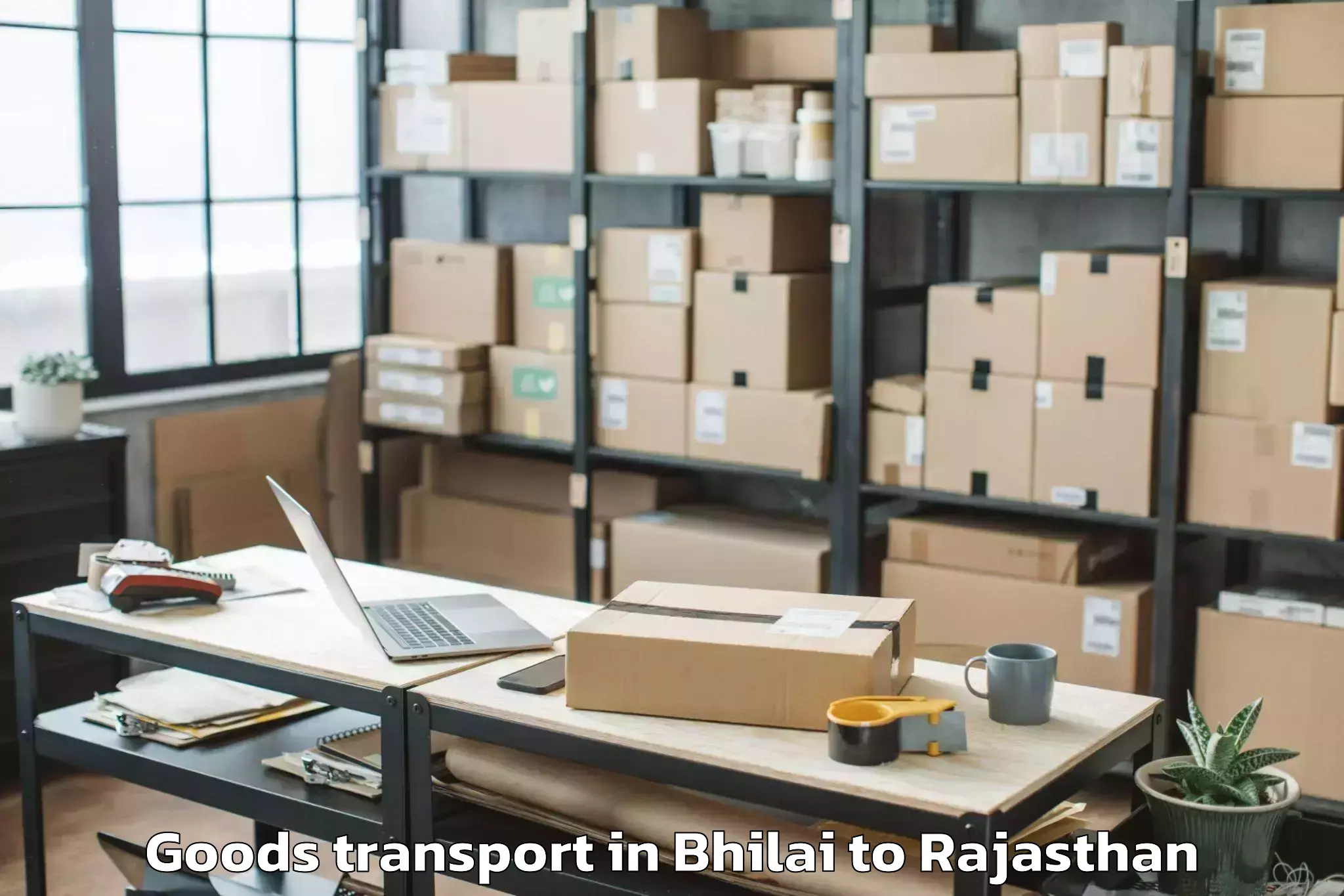 Top Bhilai to Mahindra World City Jaipur Goods Transport Available